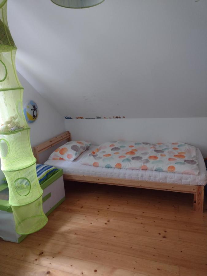 Chata Dvirka Zelezny Brod Esterno foto
