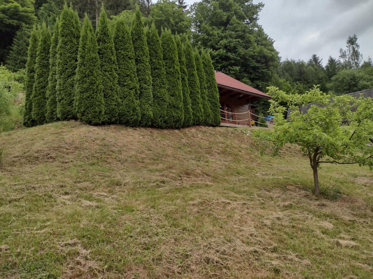 Chata Dvirka Zelezny Brod Esterno foto