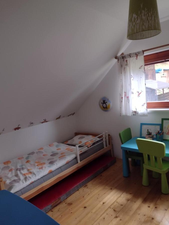 Chata Dvirka Zelezny Brod Esterno foto