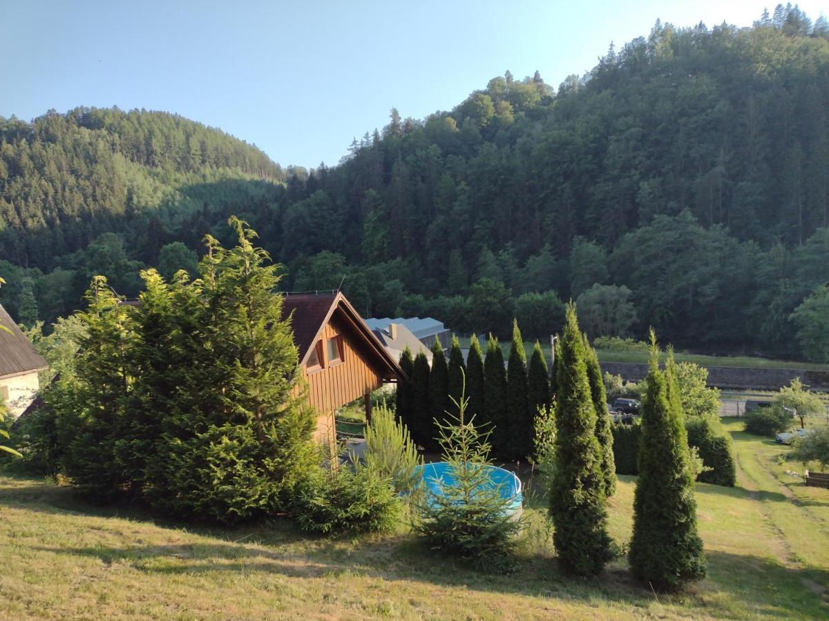 Chata Dvirka Zelezny Brod Esterno foto
